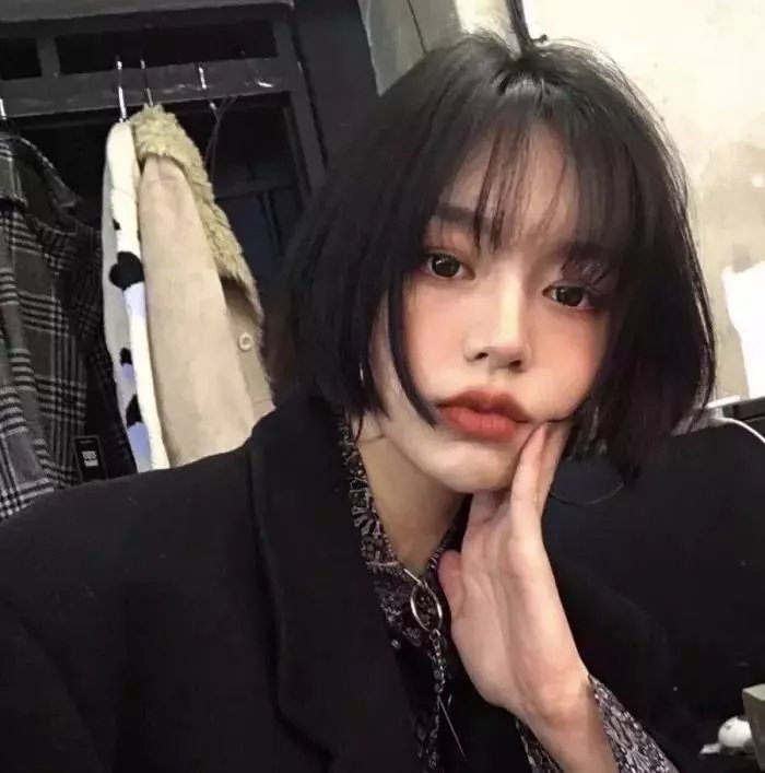 我的家人和其他动物